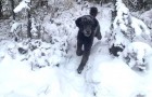 Video Spieltriebvideos Spieltrieb