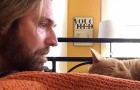 Video Katzenvideos Katzen