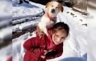 Video di Cani