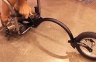A man in a wheelchair shows his AMAZING invention !