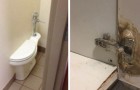 Vidéos Bricolage