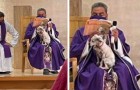 Un prete viene fotografato mentre recita la messa con il cagnolino malato sulle ginocchia: non vuole lasciarlo solo