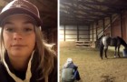 video med Hästar