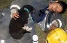Uitgeputte brandweervrouw valt neer op de grond met het hondje dat ze zojuist uit de vlammen heeft gered