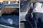 Un pompier en civil sauve un automobiliste qui s'est retrouvé avec 15 000 abeilles dans sa voiture