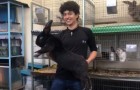 Vidéos d' Animaux