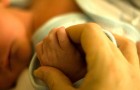 Er macht einen Vaterschaftstest und stellt fest, dass das Baby der Sohn seines ungeborenen Zwillings ist: eine menschliche Chimäre