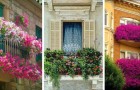 13 balconi fioriti uno più bello dell'altro da cui trarre ispirazione per creare spazi incantevoli