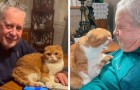 video med Katter