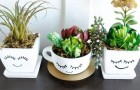 Usa le piante succulente per decorare in modo creativo la casa e il giardino: 13 idee strepitose