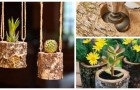Trasforma semplici tronchi in fantastici vasi: le idee migliori per fioriere dal look naturale