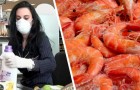 She gives 21 cents worth of extra shrimp to a customer and is fired, but the judge agrees with her