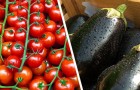 Non tutta la verdura e la frutta andrebbero conservate in frigo: scopri qualche indicazione utile