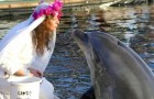 Elle épouse un dauphin mais lorsqu'il décède, elle décide de rester veuve à vie