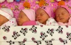 Pensava di aspettare un solo figlio, ma poi dà alla luce quattro gemelline identiche: un caso rarissimo