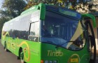Autobus elettrici, gratuiti e alimentati a energia solare: l’iniziativa di una città australiana