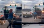 Mujer detiene el tráfico y salva a tres perros que estaban cruzando la calle: nadie se había detenido para ayudarlos