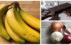 Vidéos d' Aliments