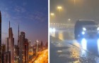 Video Absurde Videos Absurd