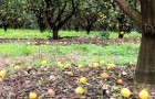 Video Absurde Videos Absurd
