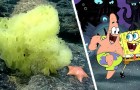 SpongeBob und Patrick in der realen Welt 
