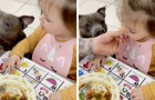Una bambina si rifiuta di mangiare la verdura: quando vede il cane mangiarla al posto suo, ci ripensa