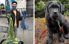 Un garçon passionné d'escalade recycle des cordes effilochées et les transforme en laisses pour chiens