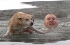 Cane cade in un lago ghiacciato: un giornalista lo salva tuffandosi nell’acqua gelida