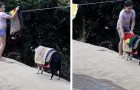 Una bambina si fa aiutare dal suo cagnolino a ritirare il bucato: la mamma riesce a filmare la scena esilarante