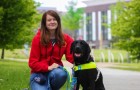 Blind meisje wordt verbaal mishandeld in de bus omdat haar blindengeleidehond 