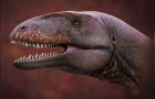 Scoperti in Uzbekistan i resti fossili dell'imponente dinosauro con 