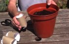 Vídeo de Jardinagem