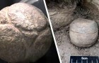 De mystérieuses sphères en pierre découvertes en Écosse : elles ont 5 500 ans 