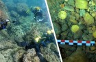 Spanje: Twee duikers vinden tijdens een duik een spectaculaire schat uit de Romeinse tijd