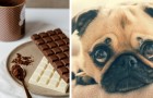 Perché la cioccolata è un vero e proprio veleno per i cani e cosa fare quando ne ingeriscono un po'