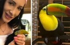 Video of Animals