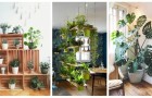 Sfrutta la bellezza delle piante per decorare la casa con un irresistibile tocco di verde