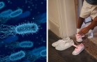 Pourquoi il ne faut pas porter de chaussures à l'intérieur : tous les risques des bactéries nichées sur les semelles