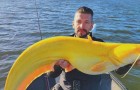 Pescatore trova un pesce gatto enorme e rarissimo: è giallo brillante