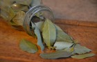 Usa le foglie di alloro per profumare gradevolmente e in modo naturale tutta casa