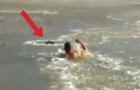 Der Hund ertrinkt in einem zugefrorenen See: Was dieser Mann tut, ist unvorstellbar