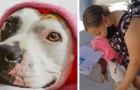 Une petite fille pleure de joie lorsque sa mère lui offre un chien provenant d'un refuge qu'elle avait vu sur internet