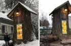 Rettung eines jahrhundertealten Baumes und Umwandlung in eine kostenlose Bibliothek für die Nachbarschaft