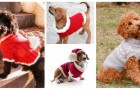 Regala al tuo cane un caldo e adorabile maglione fatto a mano, perfetto per le feste di Natale