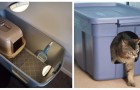 Il y a de la litière de chat partout ? Testez cette solution brillante