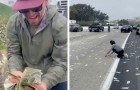 Ein Lastwagen verliert das Geld, das er geladen hatte, und die Straße ist voller Geldscheine: eine absurde Szene (+VIDEO)