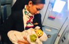 Stewardess biedt aan om de baby borstvoeding te geven van een wanhopige passagier die geen melk meer had