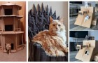 Geef je kat uren speelplezier door creatief speelgoed te maken van kartonnen dozen