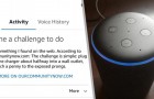Alexa fordert ein kleines Mädchen auf, an einer gefährlichen Herausforderung teilzunehmen: Amazon entschuldigt sich