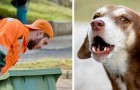 Dog attracts the attention of a garbage man and saves the life of his elderly owner